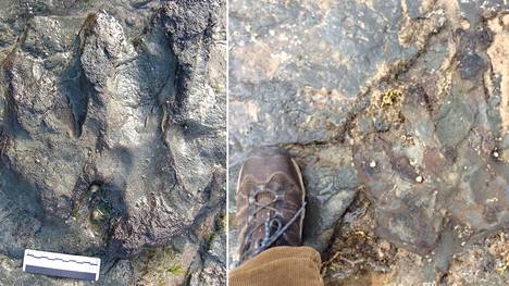 Kuva dinosauruksen jalanjäljestä ennen ja jälkeen vandalisoinnin.