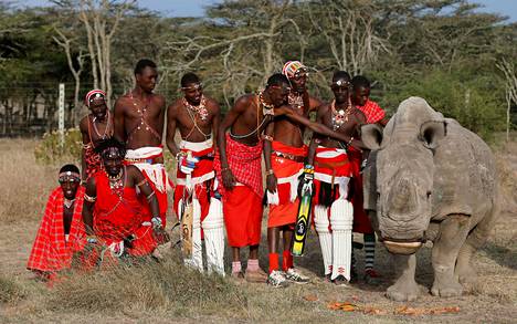 Maasai-soturit poseeraavat Sudanin rinnalla.
