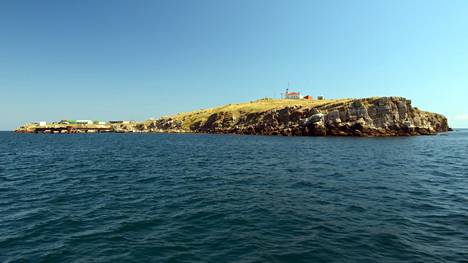 Käärmesaari on pieni kalliosaari noin 300 kilometriä Krimin niemimaalta länteen.