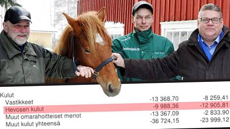 Perussuomalaiset sai lahjaksi nuoren suomenhevosorin vuonna 2015. Hongon Vihurista ei tullut ravuria ja puolue päätti luopua hevosen omistuksesta noin vuosi sitten.