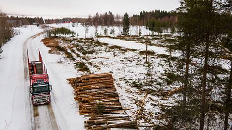 Sahateollisuus ry:ssä on yli 30 jäsenyhtiötä, joiden osuus Suomen sahatavarantuotannosta on noin puolet.