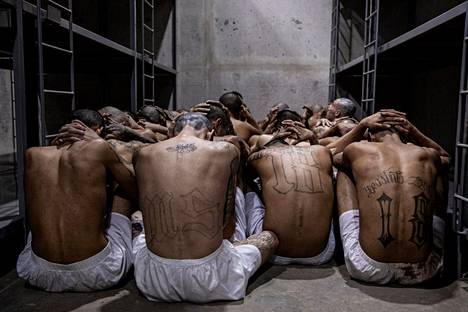 Ihmisoikeusjärjestöt ovat kritisoineet vankien ja rautanyrkiksi kutsutussa kampanjassa pidätettyjen kohtelua.
