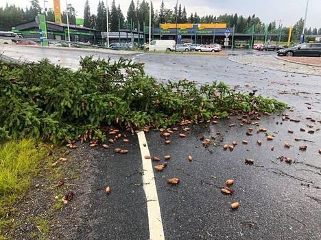 Mikkelin Pitkäjärvellä raivattiin myrskyn tuhoja.