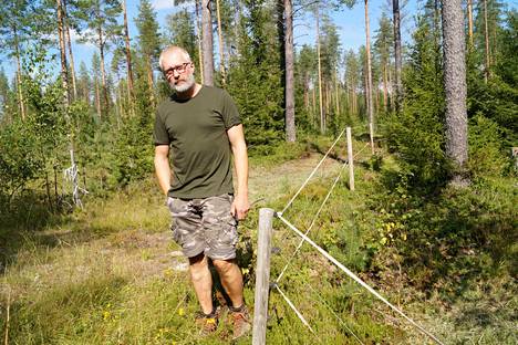 Mika Piiroisen karja oli aidatulla metsälaitumella, jossa karhu vieraili viime viikolla. Yhdeksän hehtaarin laidun on EU:n perinnebiotyypin mukainen metsälaidun, jolla karjaa on direktiivien määräämänä laidunnettava. 