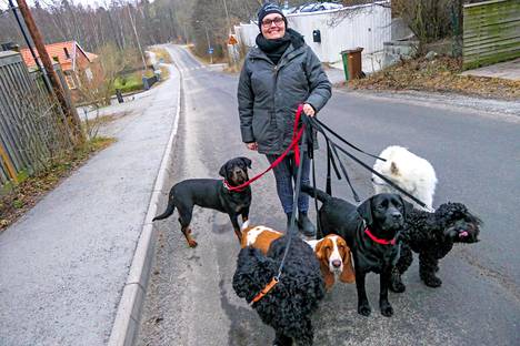 Mica Ylitalo pitää koirapäiväkotia Solsidanissa.
