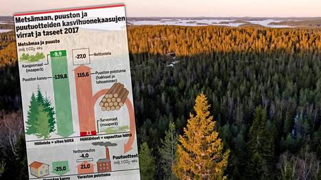 Suomen metsien hiilinielun vertailutasoa laskettiin selvästi aiempiin laskelmiin verrattuna. Aiemman mukaan hakkuumäärä olisi voinut olla 83 miljoonaa kuutiometriä, nyt puhutaan 77 miljoonasta.