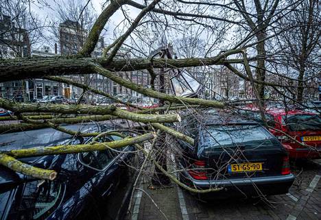 Puut kaatuivat Amsterdamissa, kun talvimyrsky Eunice iski kovalla voimalla Hollantiin lauantaina.