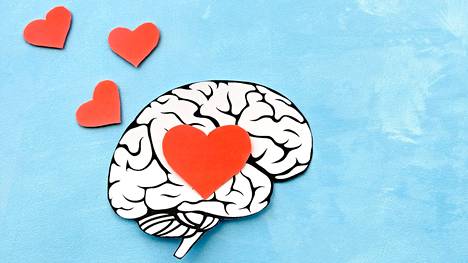 Rakastuneen ihmisen aivotoiminta muuttuu. 