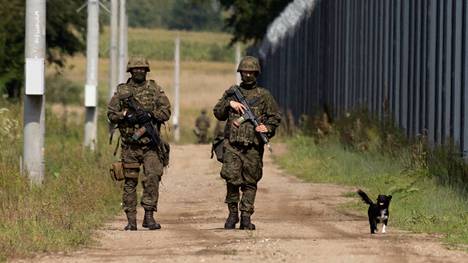 Puolalaiset sotilaat partioivat Puolan ja Valko-Venäjän rajalla. Kuva vuodelta 2023.