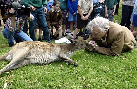 David Attenborough on puhunut luonnonsuojelun puolesta. Hän tervehti kengurua vierailulla eläintarhassa Australiassa vuonna 2003.