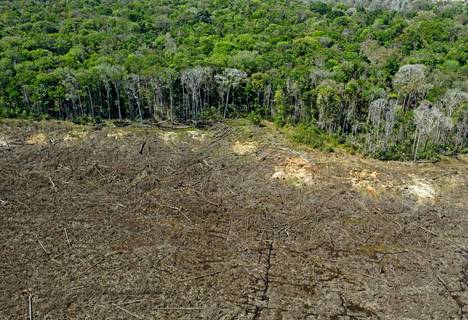 Tutkimusten mukaan Amazonin alueella etenevä metsäkato uhkaa altistaa yhdessä ilmastonmuutoksen kanssa noin 12 miljoonaa brasilialaista äärimmäiselle kuumuudelle vuoteen 2100 mennessä. 