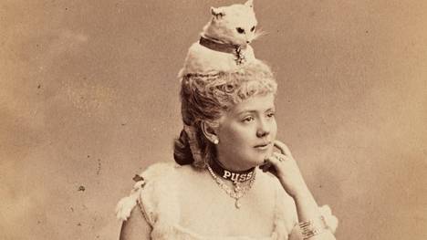 Neiti Kate Fearing Strong erottui vuoden 1883 New Yorkissa pidetyissä juhlissa pitämällä päässään täytettyä kissaa.
