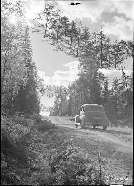 Alkuperäinen kuvateksti: ”Suomalaiset ovat naamioineet noin 10 km rajalta Raatteen tiellä maantien, ilmassa roikkuvilla kuusilla sillä aivan rajalla on venäläisten pystyttämä tähystystorni.”