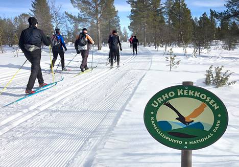 Hiihtäjiä Urho Kekkosen kansallispuistossa Saariselällä maaliskuussa 2021.