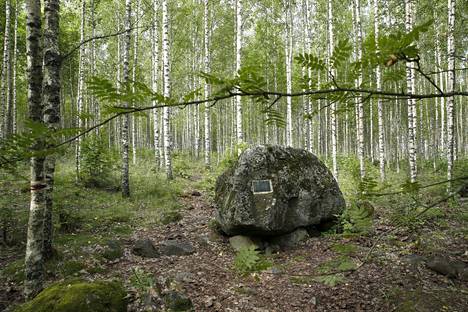 Piispa Henrikin surmavirren mukaan Lalli pakeni surmaa seuranneena kesänä Hiirijärven Kotamäkeen. Siellä sijaitsee Lallin itkukivenä tunnettu siirtolohkare. Tarinan mukaan kivi on yhä kostea tekoaan katuneen Lallin kyyneleistä.