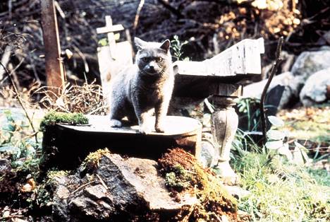Church-kissa nousee kuolleista Uinu, uinu lemmikkini -elokuvassa.