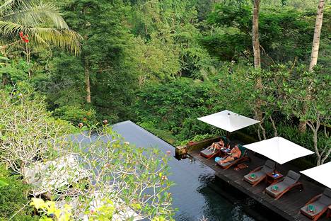 Balin luonto on uhkean vihreää ja vehreää.