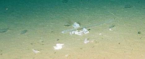 Syvyyksistä löytynyt muovipussi ja muu jäte kertovat siitä, kuinka vakava valtamerien muoviongelma on.