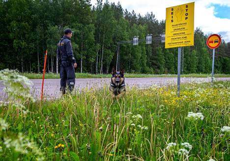 Itärajalla rajavyöhykevalvonta tehostuu kesäkaudella. Sähköisen valvonnan lisäksi valvontaa tekevät rajavartijat ja koirat, kuten kuvan rajakoira Manu.