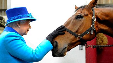 Kuningatar Elisabet on tunnettu hevosten ystävä.