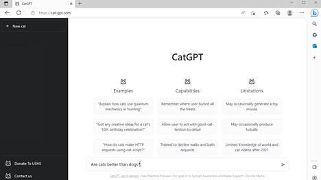 CatGPT on ulkonäöltään hyvin lähellä ChatGPT:tä.