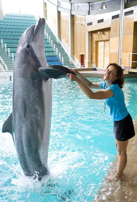 Särkänniemen Delfi-delfiini kuoli Kreikassa - Kotimaa - Ilta-Sanomat