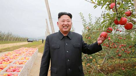 Pohjois-Korean johtajan Kim Jong-unin kerrotaan olevan perso hyvälle viinille. Kuvassa hänen kerrotaan olevan opastamassa hedelmätilaa.