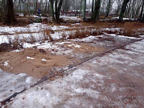 Poistettujen nimilaattojen takana on hauta-alue, jota suojaamaan Koivisto-Seura istutti runsaasti pensaita. Ne ovat jääneet myös hoitamatta viime vuosina, koska koivistolaiset eivät ole itse päässeet käymään paikan päällä koronarajoitusten ja Ukrainan sodan vuoksi.