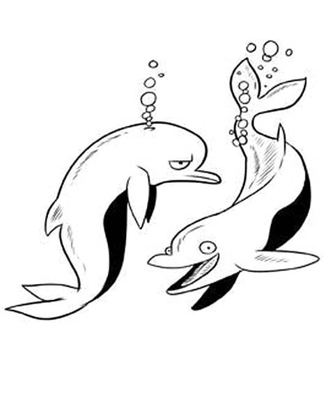 Delfiini on yksi kirjassa esitetyistä reilusta 80:stä eläinlajista.