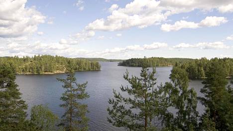 Suomesta voi ostaa kokonaisen saaren kerrostaloasunnon hinnalla – kolme  erikoista kohdetta - Matkat - Ilta-Sanomat