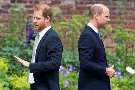 Ihonvärikeskustelun kerrotaan aiheuttaneen kitkaa myös veljesten prinssi Harryn ja prinssi Williamin välille.