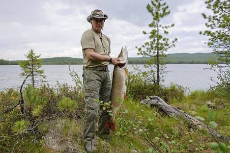 Kreml kertoi vuonna 2013 Vladimir Putinin napanneen jopa 21-kiloisen hauen. Tarina ei kerro, onko kyseessä kalavale vai ihan tosijuttu.