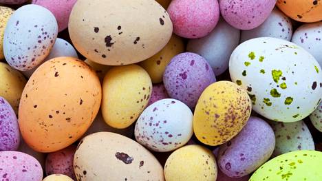 Mikä munavitsi kuvastaa sieluasi? Vastaa 10 kysymykseen, niin testi  paljastaa vastauksen – ja saat tietää syvimmän olemuksesi - Vapaalla -  Ilta-Sanomat
