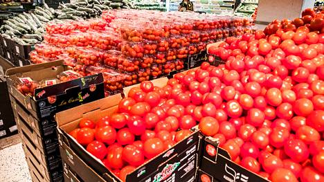 Kotimaisia tomaatteja ja kurkkuja saadaan kauppoihin muutaman viikon sisällä taas suurempia määriä.