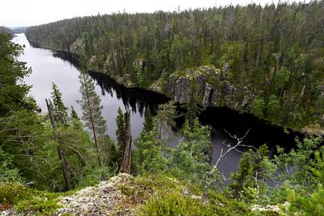 Hossa National Park in July 2017. The national park was opened last year as part of the celebration for Finland’s 100 years of independence.