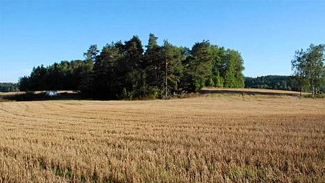 Suomen vanhin kirkkorakennus hautausmaineen löytyi pieneltä metsäsaarekkeelta Aurajoen läheisyydestä.