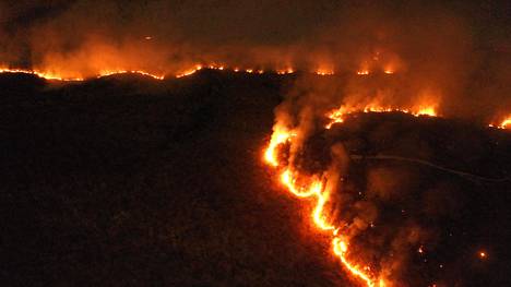 Amazonin sademetsää paloi muun muassa elokuussa.