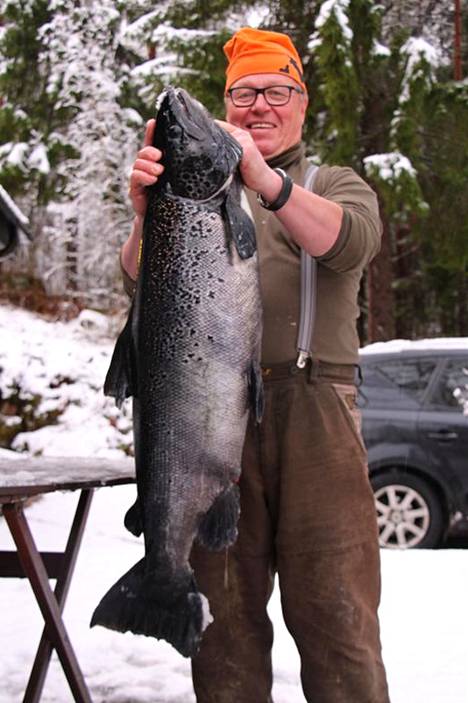 Mies Heinolasta nosti mökkijärvestään oudon petokalan – kukaan ei tiedä,  mikä yli 11 kilon kala on - Kotimaa - Ilta-Sanomat
