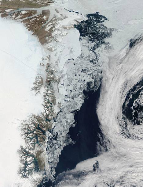 Nasan satelliittikuvassa näkyy, kuinka jäätiköiltä sulava vesi virtaa kesäisin mereen Grönlannin rannikolla. Tanskalaislaskelmien mukaan Grönlannin jäätiköiden pinta-ala on kutistunut noin 2100 neliökilometriä vuodesta 1999.