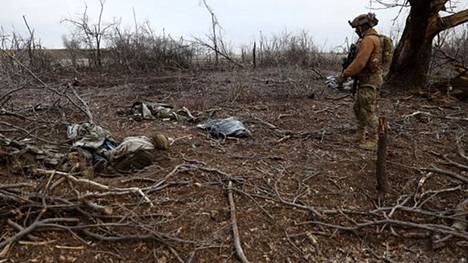 Ukrainalaissotilas tarkasteli venäläissotilaiden ruumiita Siverskissä, Donetskin alueella, tammikuun lopussa.