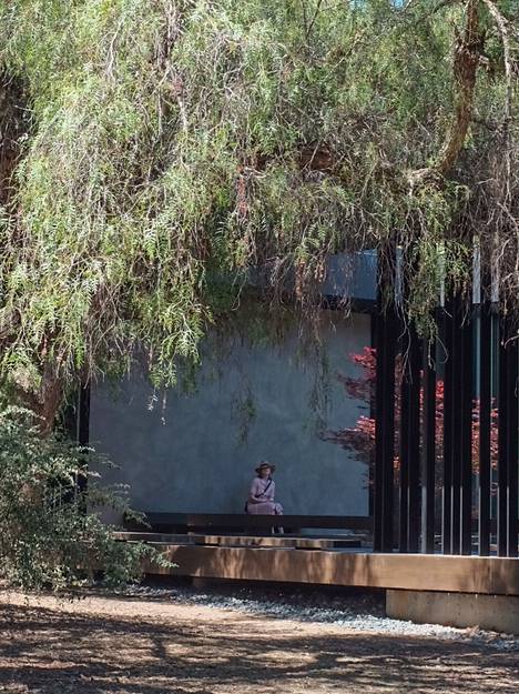 Kuvassa Emilia istuu Stanfordin yliopiston meditaatiokeskuksen edustalla. ”Siellä on oma paikka hiljentymiselle.” 