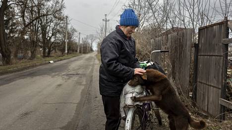 70-vuotias Olha yrittää auttaa oman onnensa nojaan jääneitä eläimiä. Ryzhik-koiran hän on adoptoinut omakseen.