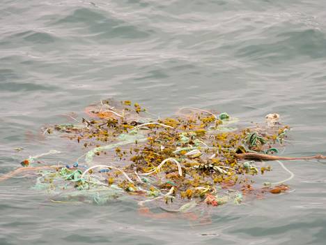 Muovijätettä lillumassa meressä Huippuvuorilla.