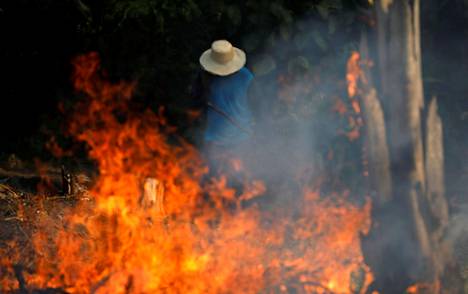 Mies työskentelee poltettavalla alueella Amazonin viidakossa Irandubassa.