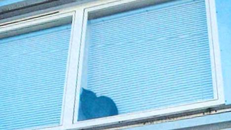 Kissa joutui viettämään useita tunteja kahden ikkunan välissä Vaasassa.