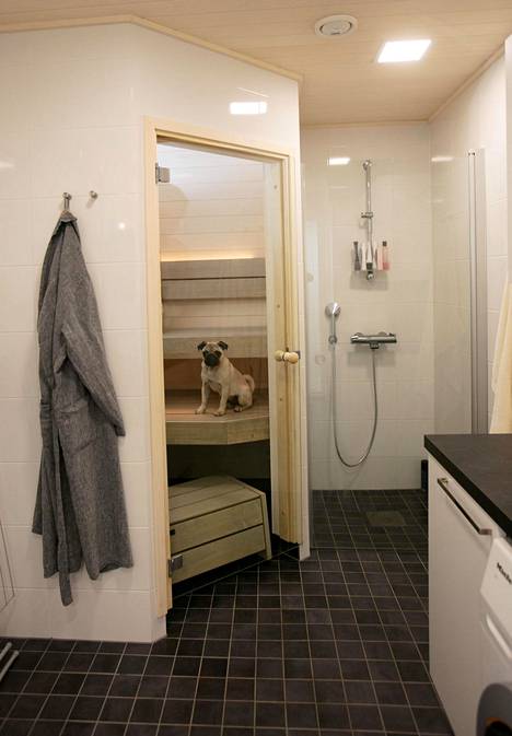 Kylpyhuoneeseen Taipalukset halusivat porealtaan sijaan saunan. Luca-koira viihtyy myös löylyissä.