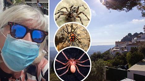 Espanjassa jo pitkään asunut Irmeli Westerdahl sai tuta paikallisen hämähäin pureman. Aurinkorannikolla tavataan useita hämähäkkilajeja, jotka purevat kivuliaasti.