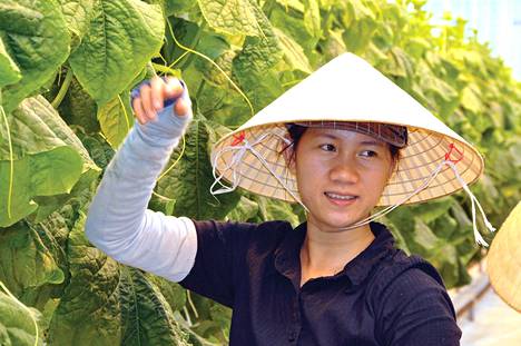 Tran Thi Huu Chi on 24-vuotias. Hän tuli Suomeen 18-vuotiaana ja teki aluksi töitä maatilalla.