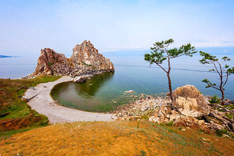 Baikaljärvellä ja sen ympäristössä elää 1 200 kasvi- ja eläinlajia, joita ei tapaa muualla.