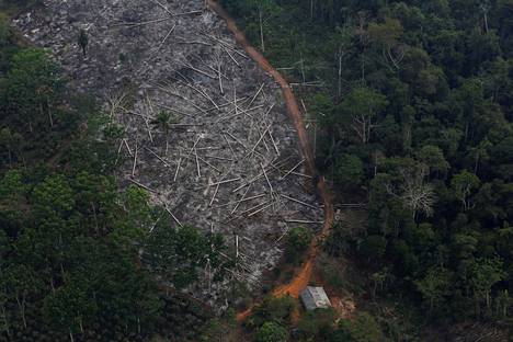 Brasiliassa kamppailtiin pitkään metsien hakkuita vastaan. Kuva vuodelta 2015. Bolsonaron aikana metsän tuhoaminen on kuitenkin kiihtynyt.